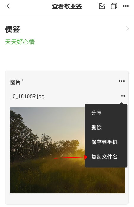 敬业签手机便签app怎么复制文件名？
