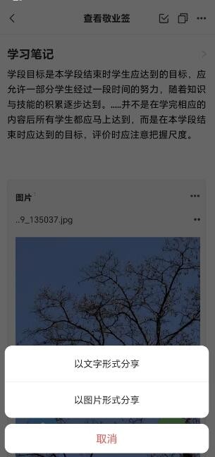 有哪些好用的手机便签软件可以轻松记录并分享学习笔记?